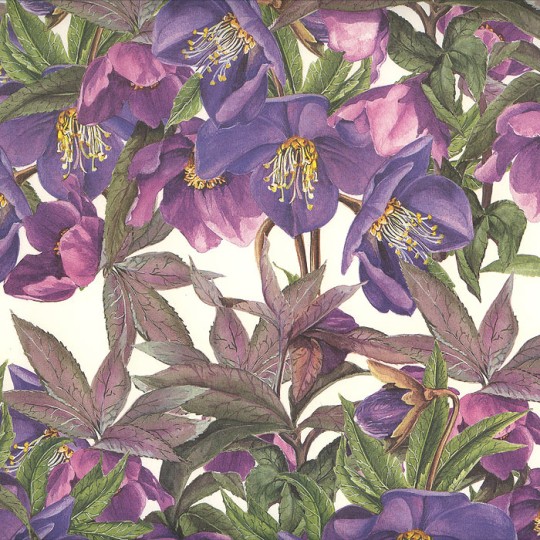 Large Purple Blossoms Floral Print Italian Paper ~ Tassotti